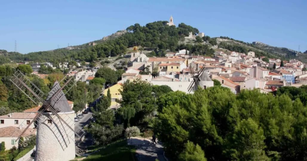 IES Ingredients participe au reboisement d'Allauch 2025