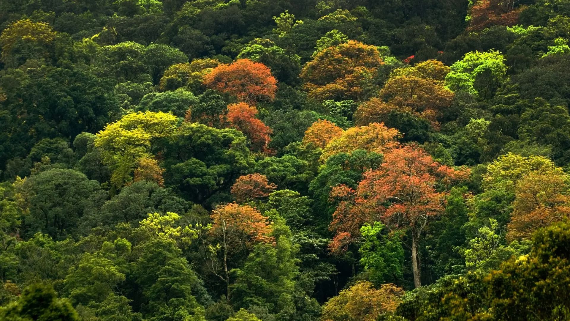 Préservation de l'environnement